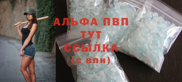 Альфа ПВП Няндома
