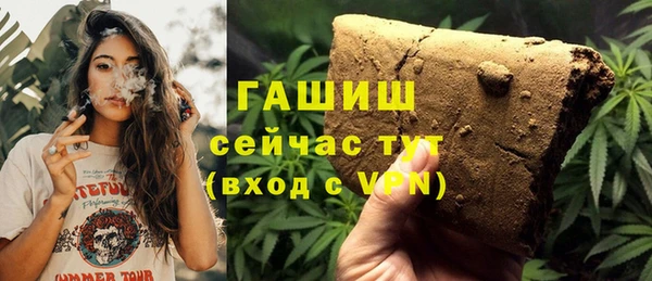 Альфа ПВП Няндома
