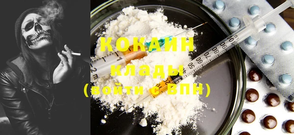 PSILOCYBIN Гатчина