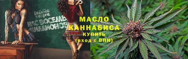Альфа ПВП Няндома