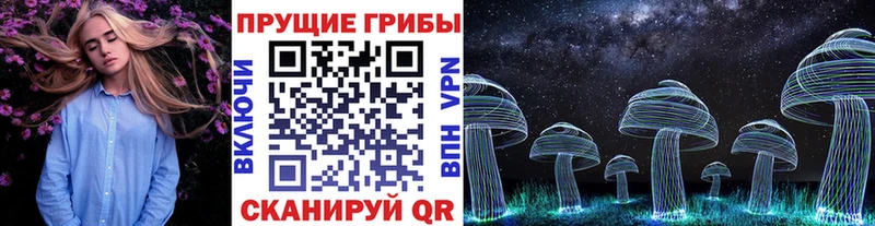 нарко площадка Telegram  Кропоткин  Галлюциногенные грибы Psilocybe  продажа наркотиков 