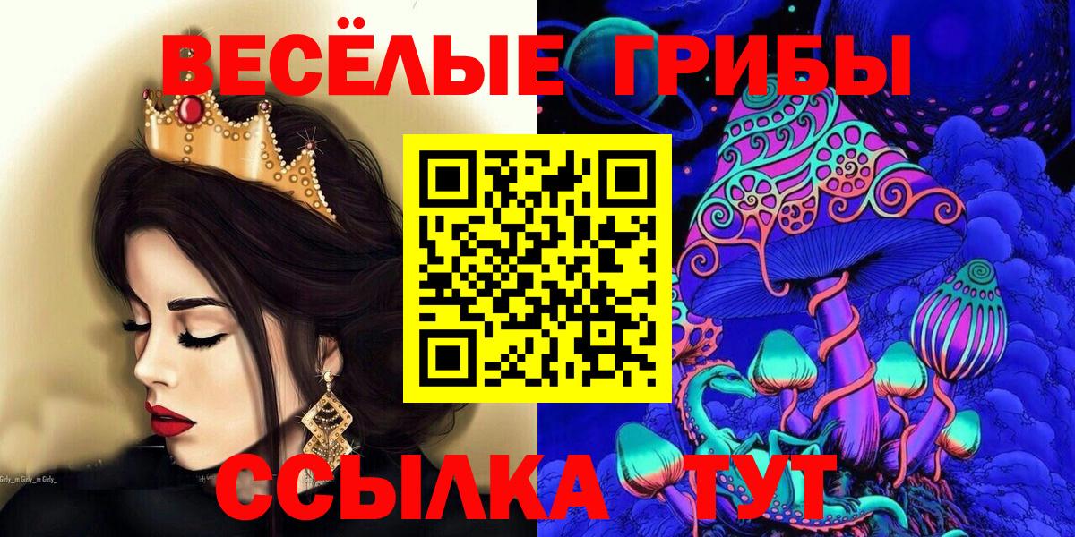 Кропоткин  Псилоцибиновые грибы MAGIC MUSHROOMS  Вход с VPN 
