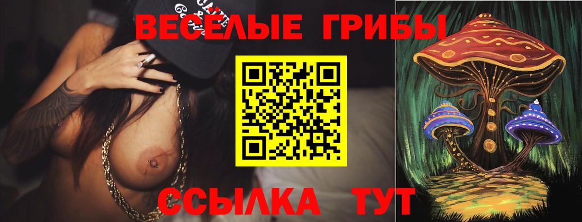 Галлюциногенные грибы Psilocybine cubensis Кропоткин